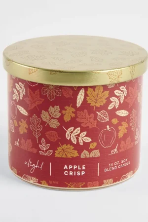 Apple Crisp 14 oz. Tumbler Candle Buy Online